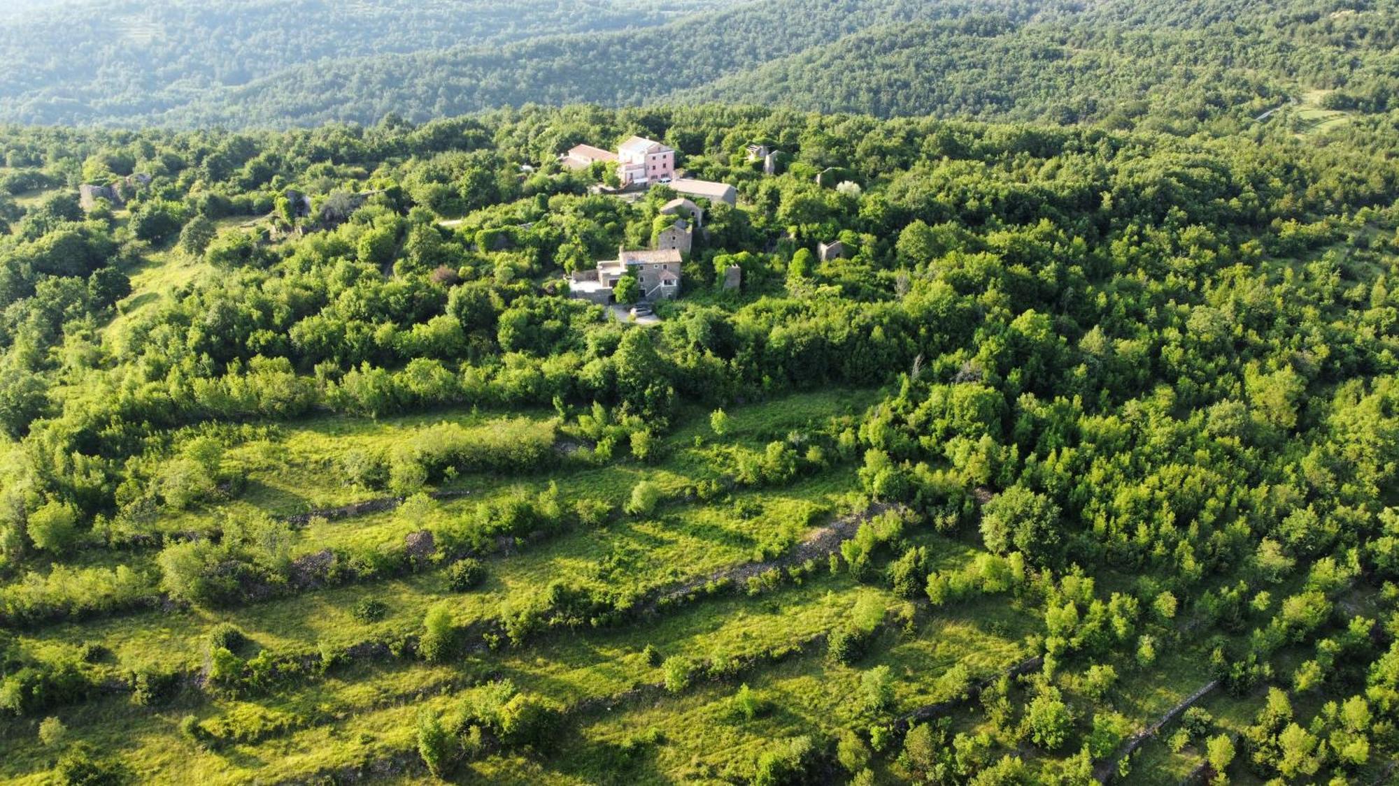 Casa Del Conte - Peaceful Hideaway In North Istria Villa Grožnjan Eksteriør billede