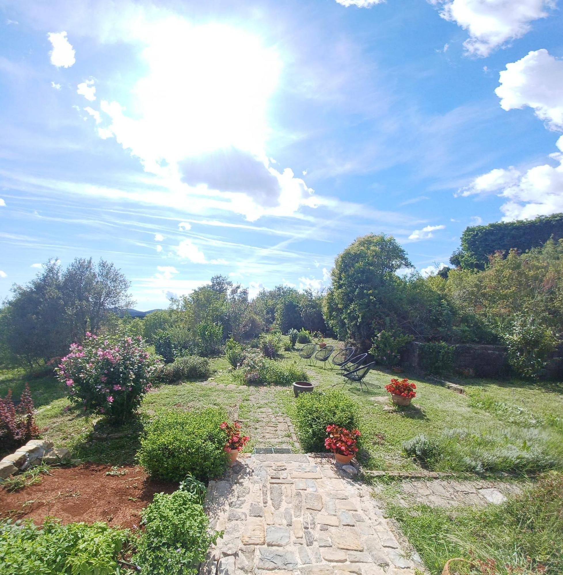 Casa Del Conte - Peaceful Hideaway In North Istria Villa Grožnjan Eksteriør billede